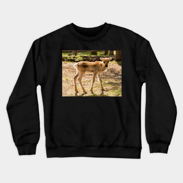 The Golden Child Crewneck Sweatshirt by krepsher